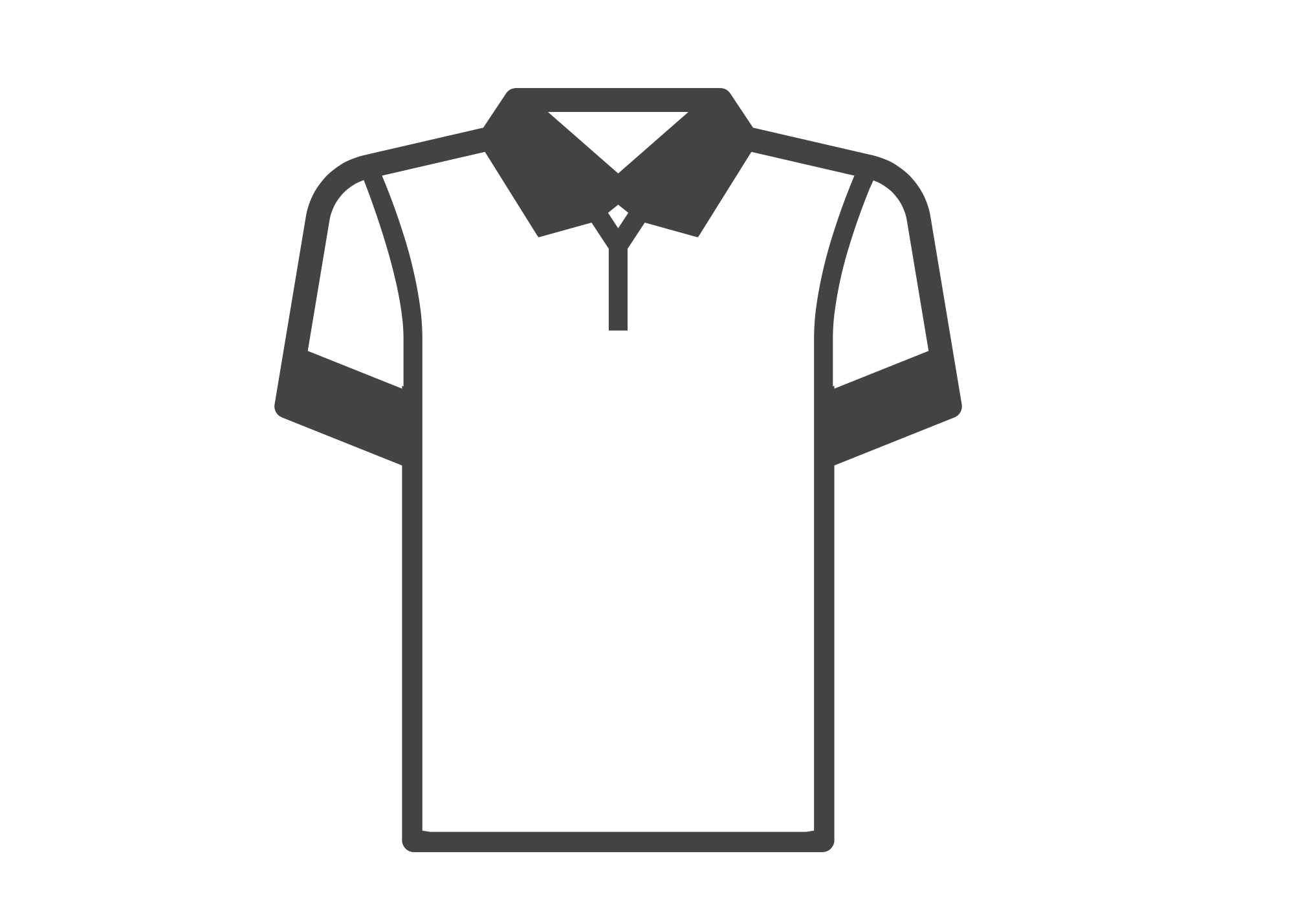 Alt Image